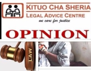 law opinion